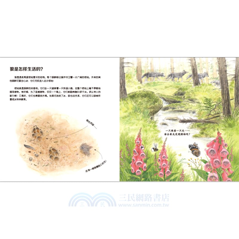 我的野生動物朋友(全8冊)（簡體書）