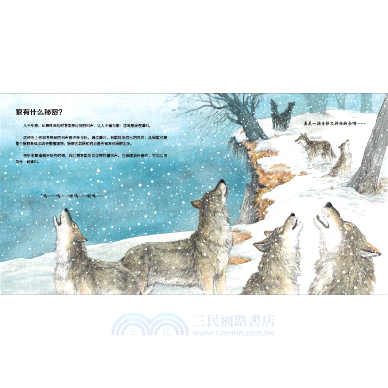 我的野生動物朋友(全8冊)（簡體書）