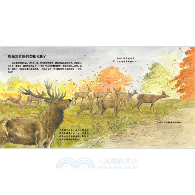 我的野生動物朋友(全8冊)（簡體書）