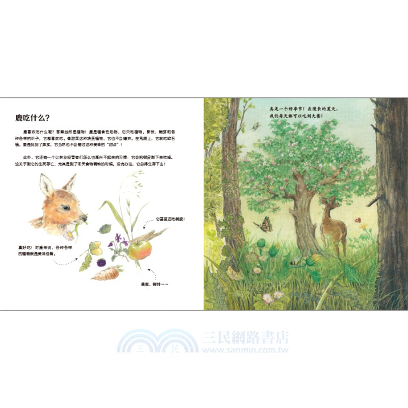 我的野生動物朋友(全8冊)（簡體書）