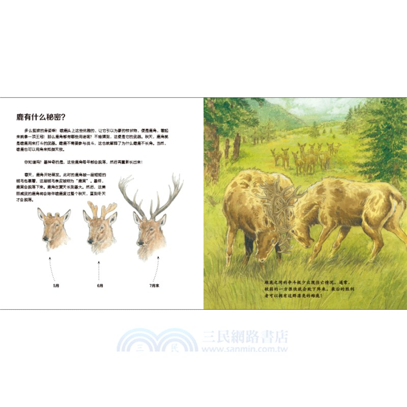 我的野生動物朋友(全8冊)（簡體書）