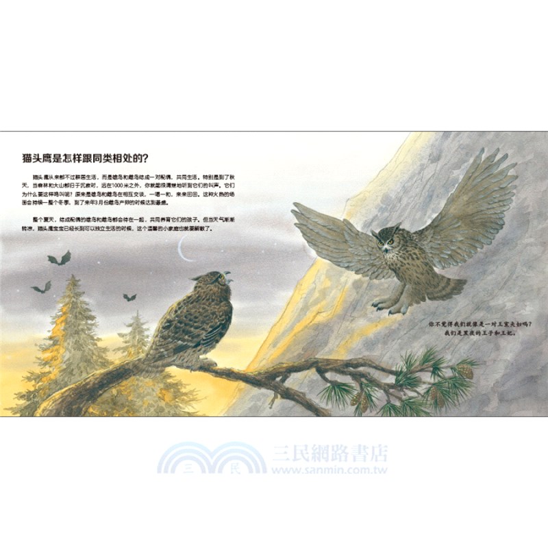 我的野生動物朋友(全8冊)（簡體書）