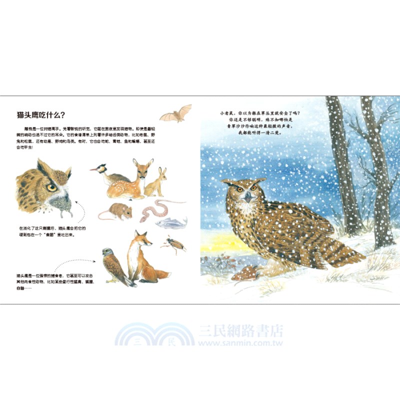 我的野生動物朋友(全8冊)（簡體書）