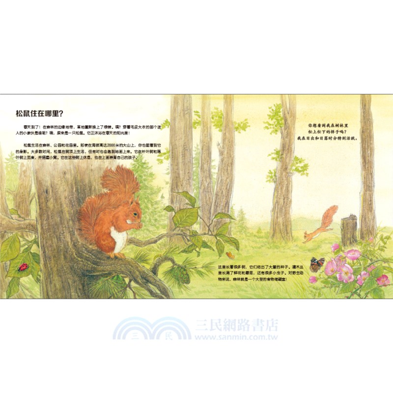 我的野生動物朋友(全8冊)（簡體書）