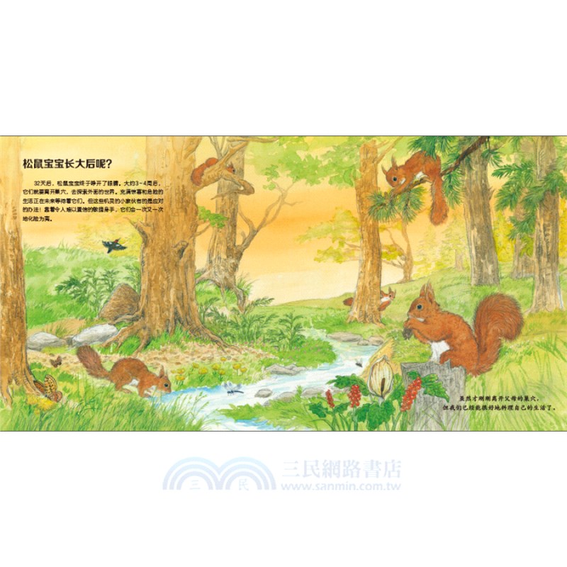 我的野生動物朋友(全8冊)（簡體書）