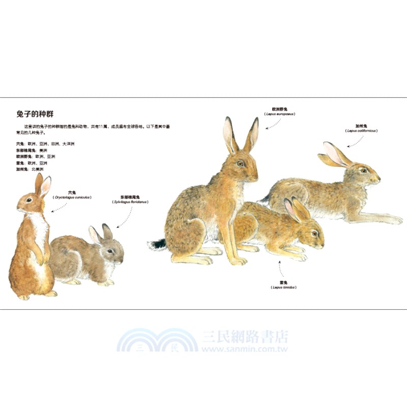 我的野生動物朋友(全8冊)（簡體書）