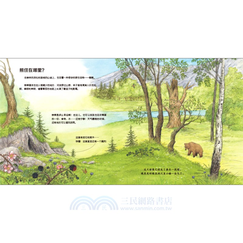 我的野生動物朋友(全8冊)（簡體書）