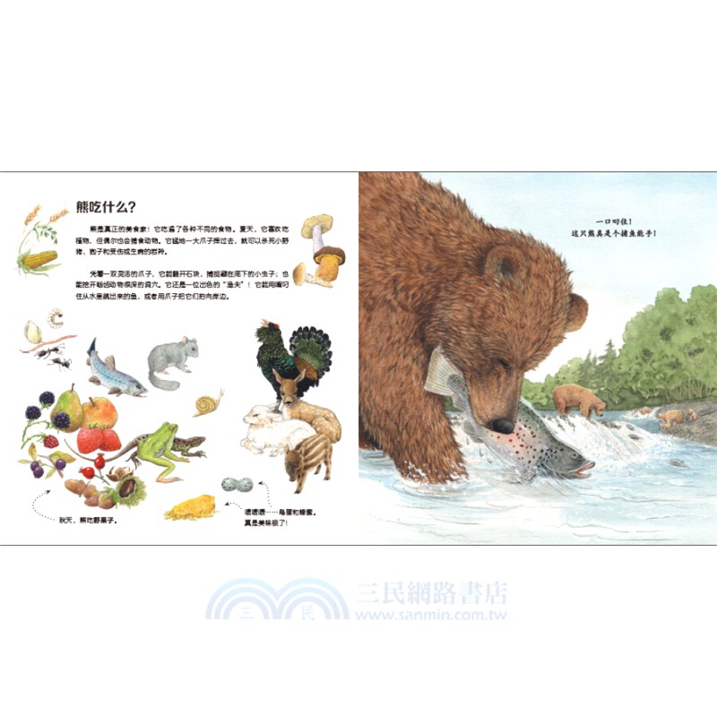 我的野生動物朋友(全8冊)（簡體書）