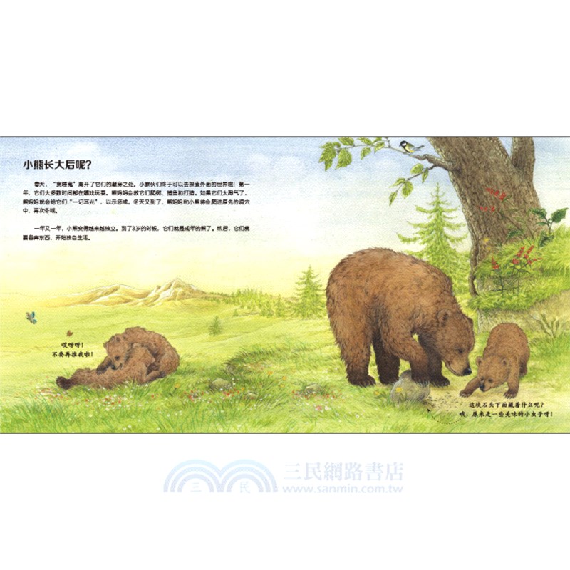 我的野生動物朋友(全8冊)（簡體書）