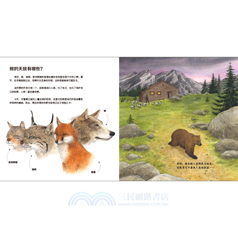 我的野生動物朋友(全8冊)（簡體書）