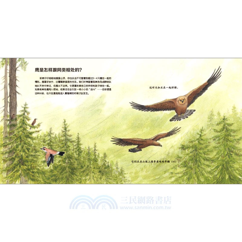 我的野生動物朋友(全8冊)（簡體書）
