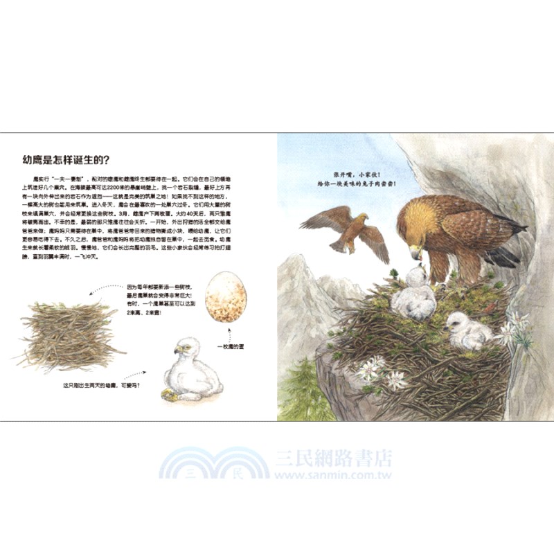 我的野生動物朋友(全8冊)（簡體書）