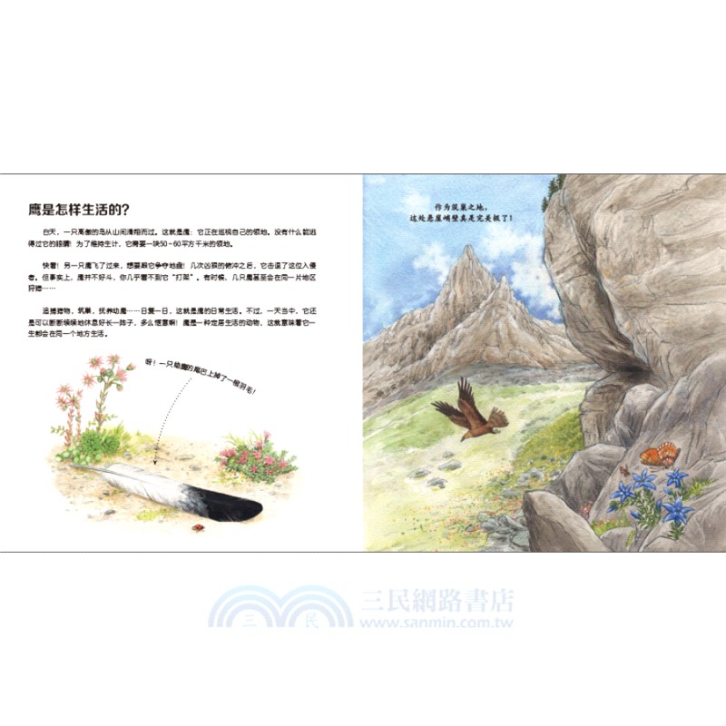 我的野生動物朋友(全8冊)（簡體書）