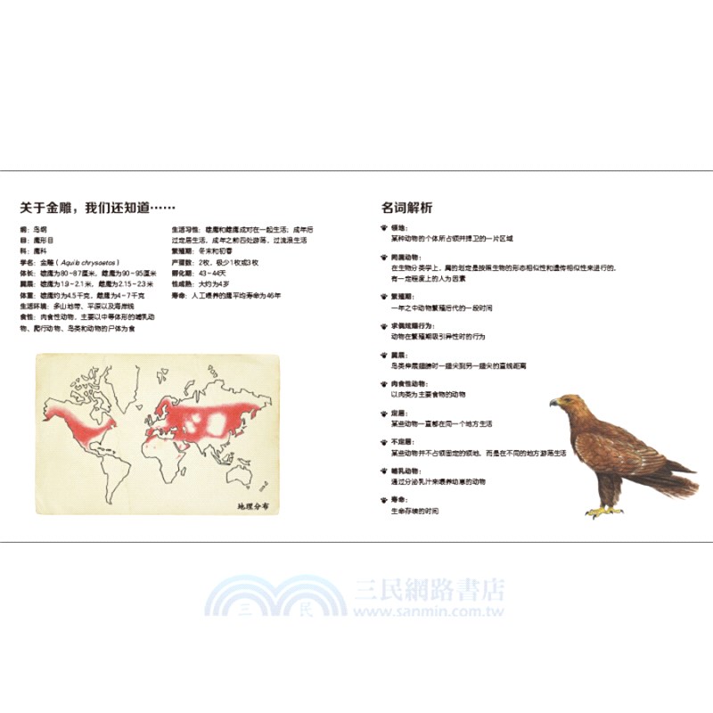 我的野生動物朋友(全8冊)（簡體書）