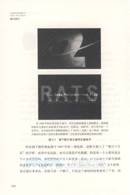 腦與意識（簡體書）