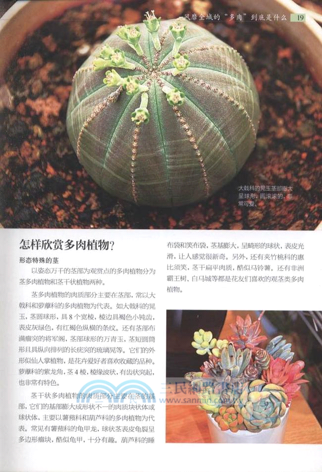 700種多肉植物原色圖鑒（簡體書）