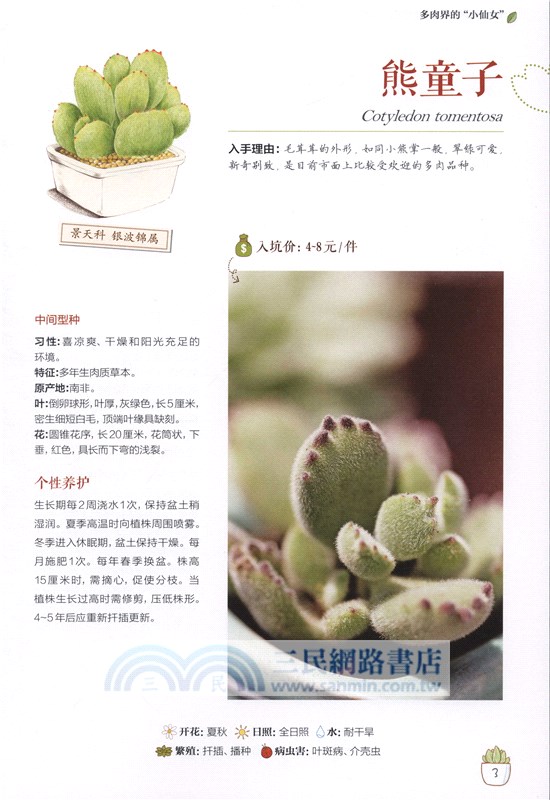 多肉肉多(手繪升級版)（簡體書）