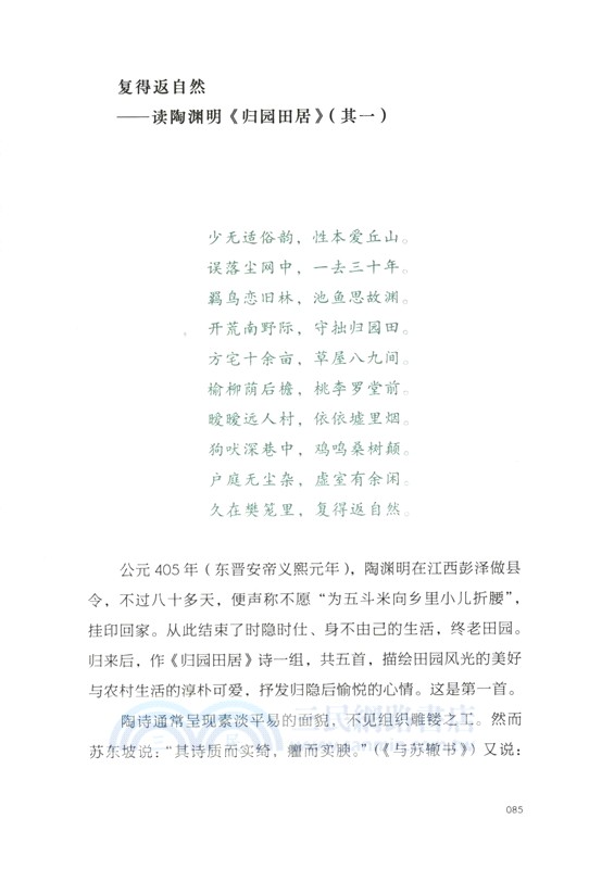 詩中有真意（簡體書）