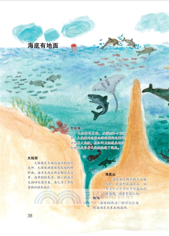 告訴你大海的秘密（簡體書）