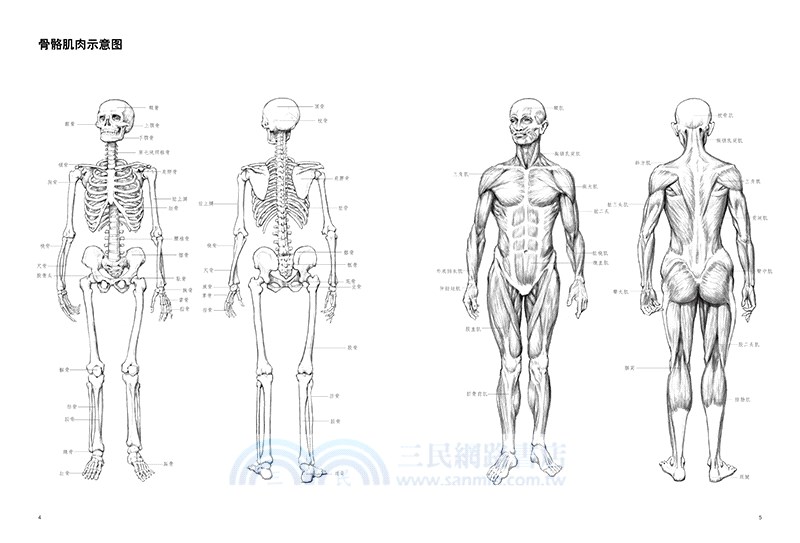 人體模特繪畫臨本（簡體書）