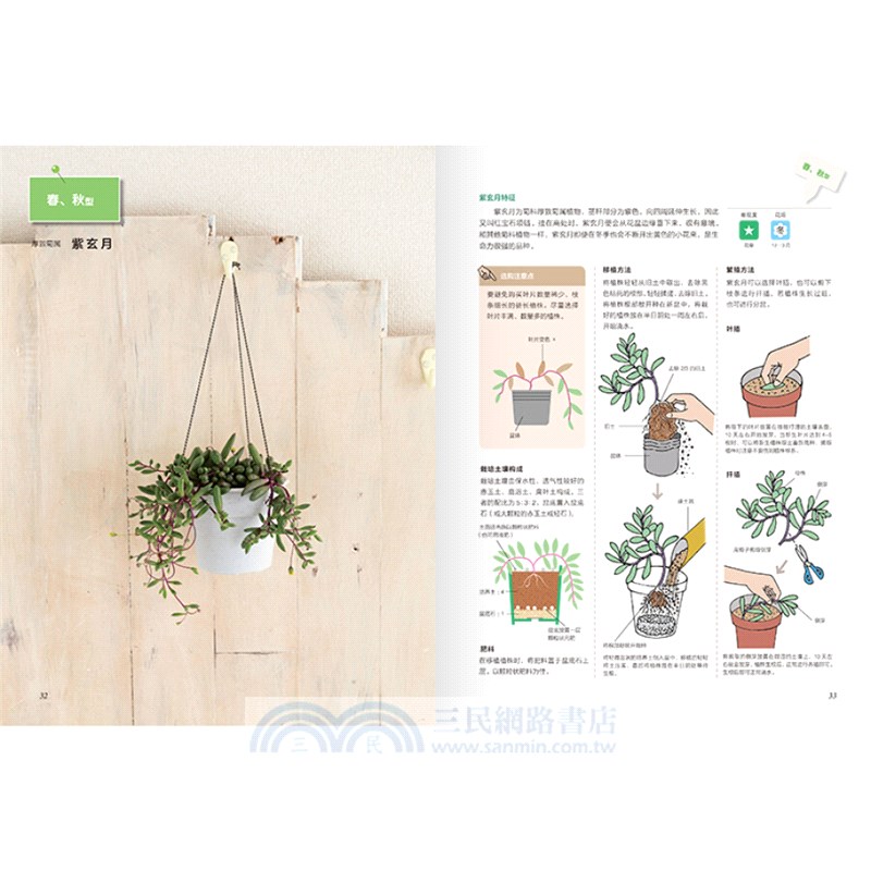 圖解多肉植物栽培與觀賞（簡體書）