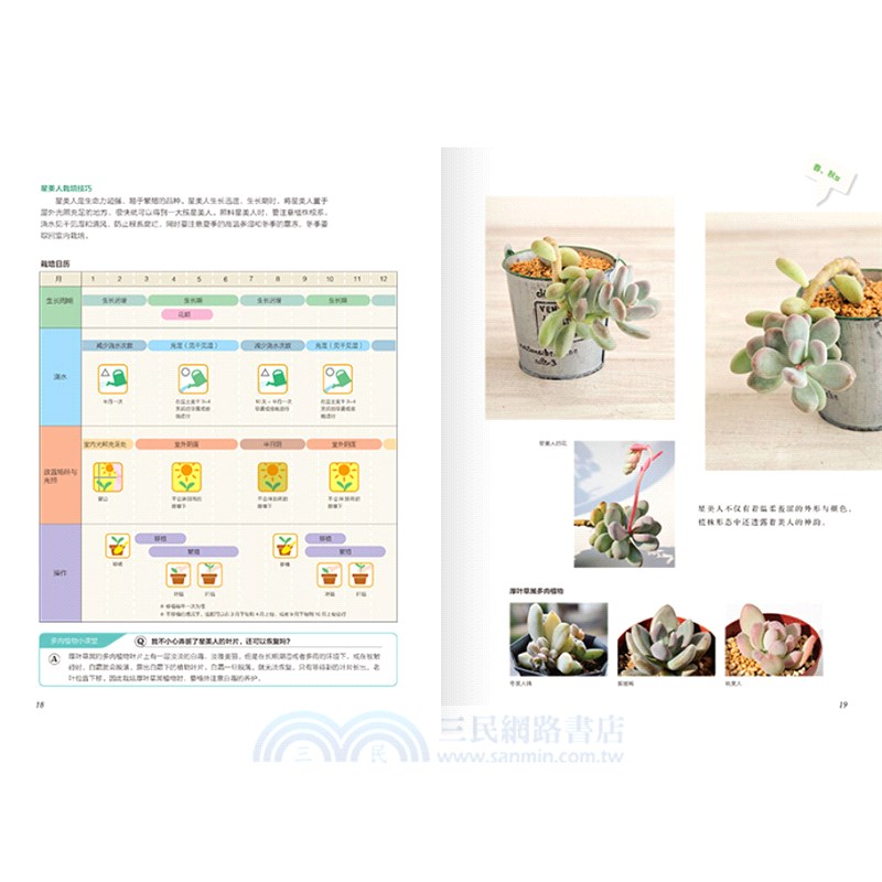 圖解多肉植物栽培與觀賞（簡體書）