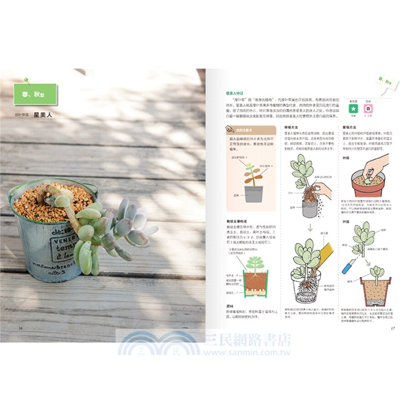 圖解多肉植物栽培與觀賞（簡體書）