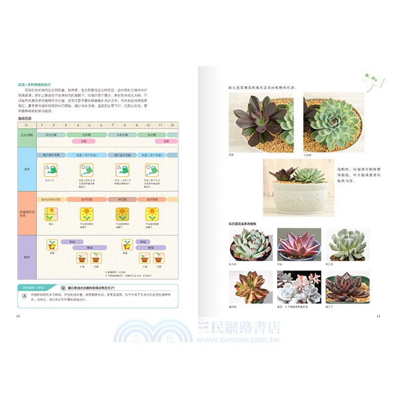 圖解多肉植物栽培與觀賞（簡體書）