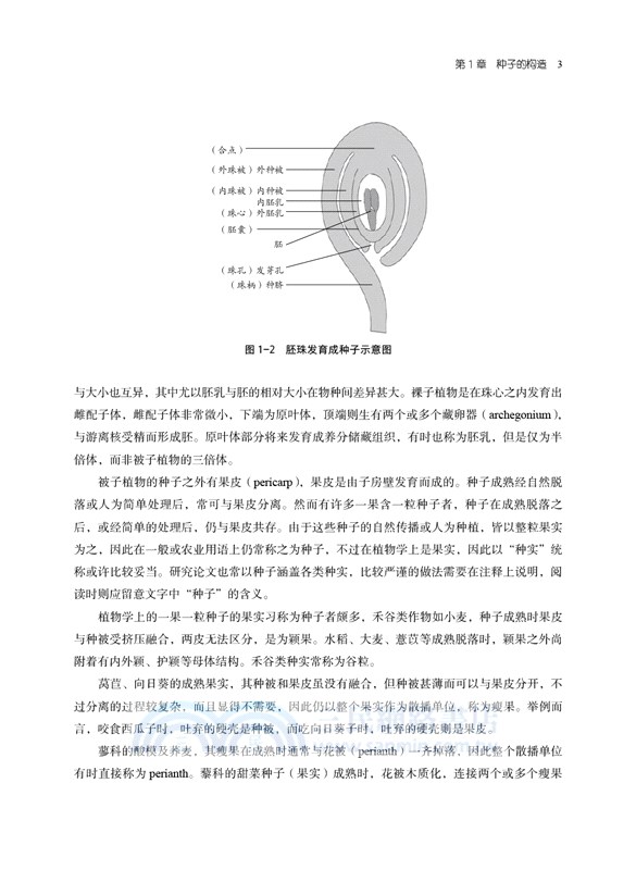 種子學（簡體書）