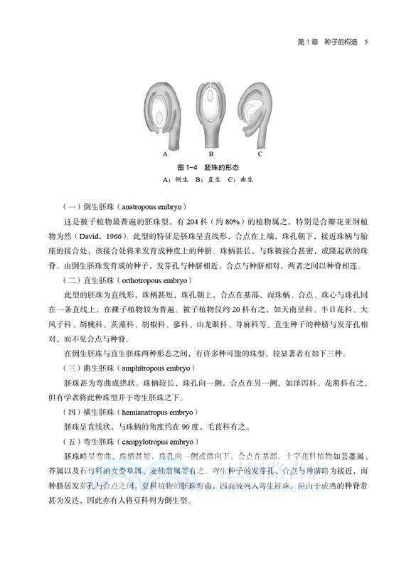 種子學（簡體書）