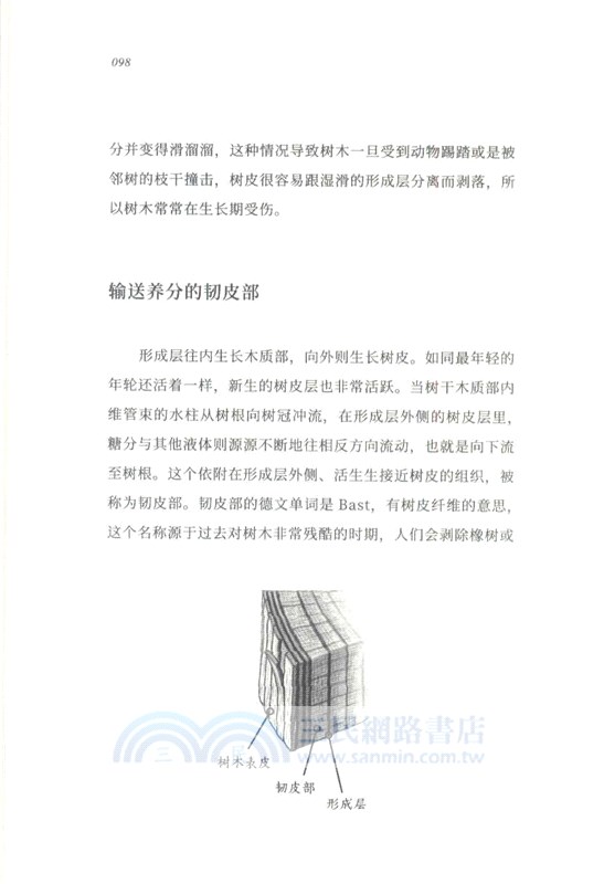 樹的秘密語言（簡體書）