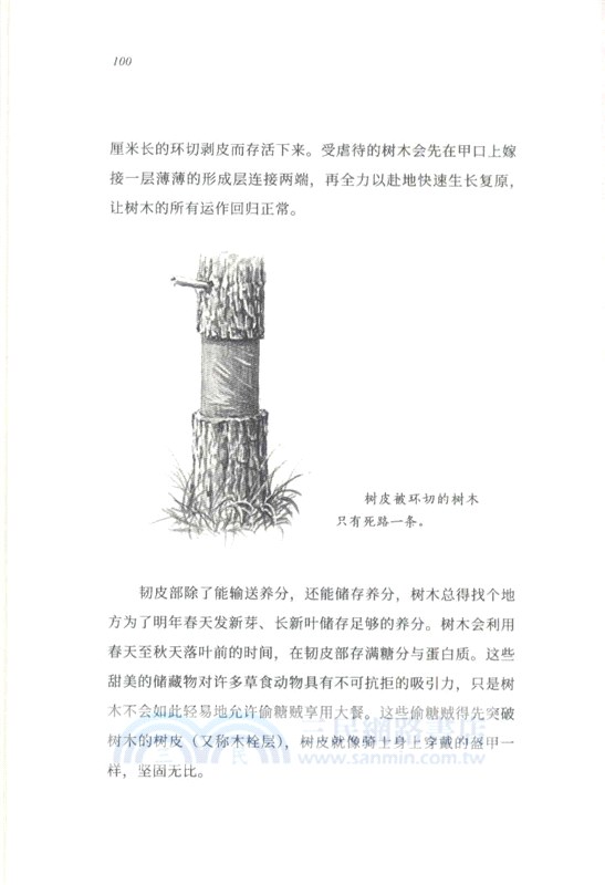 樹的秘密語言（簡體書）