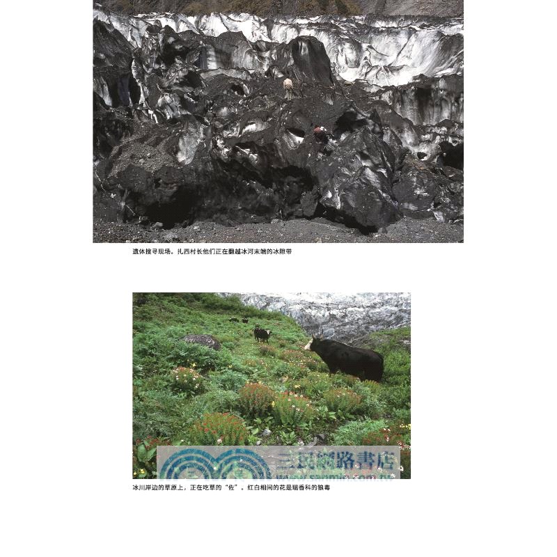 梅裡雪山：尋找十七位友人（簡體書）