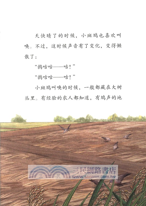 小鳥十二月（簡體書）