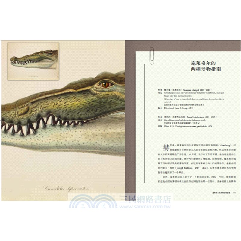 偉大的海洋（簡體書）