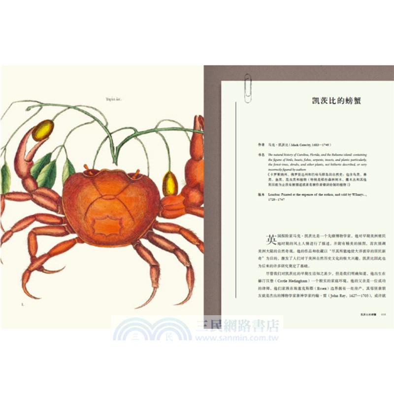 偉大的海洋（簡體書）