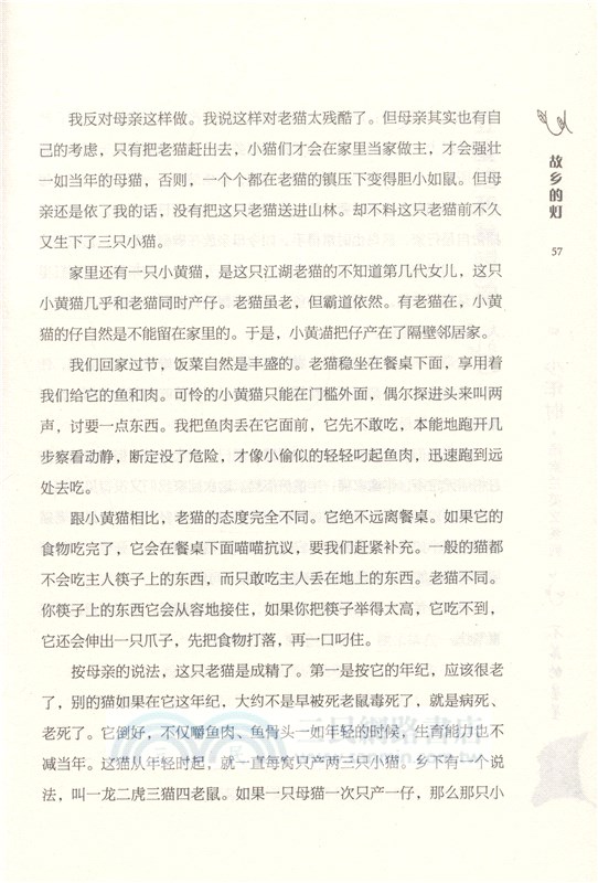 不落的星星（簡體書）