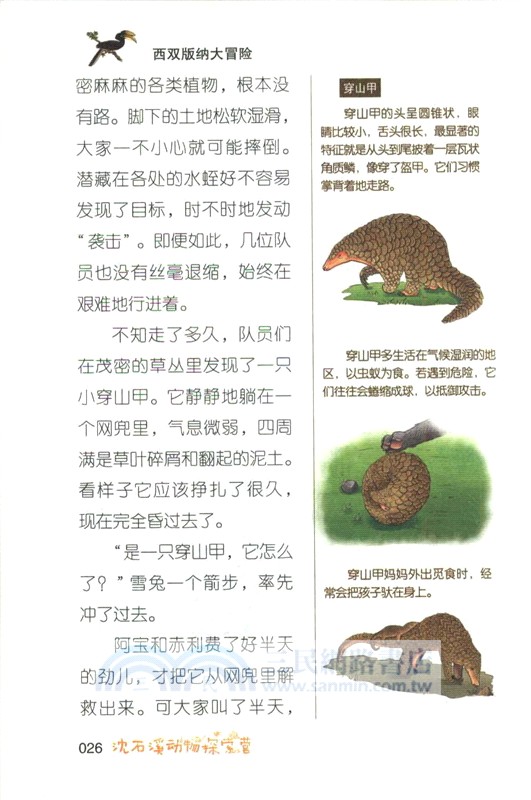 沈石溪動物探索營：西雙版納大冒險（簡體書）