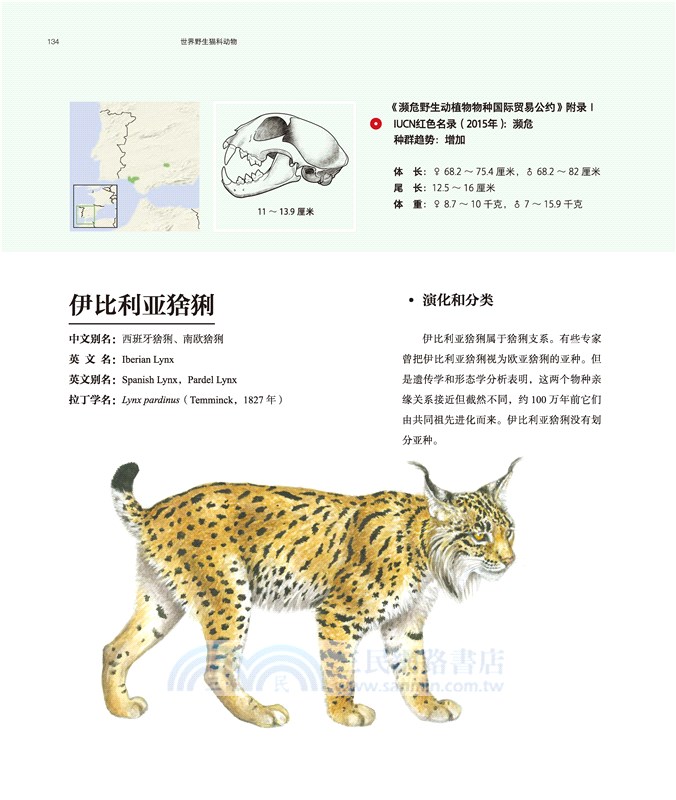 世界野生貓科動物（簡體書）