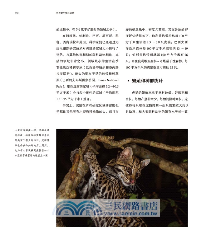 世界野生貓科動物（簡體書）