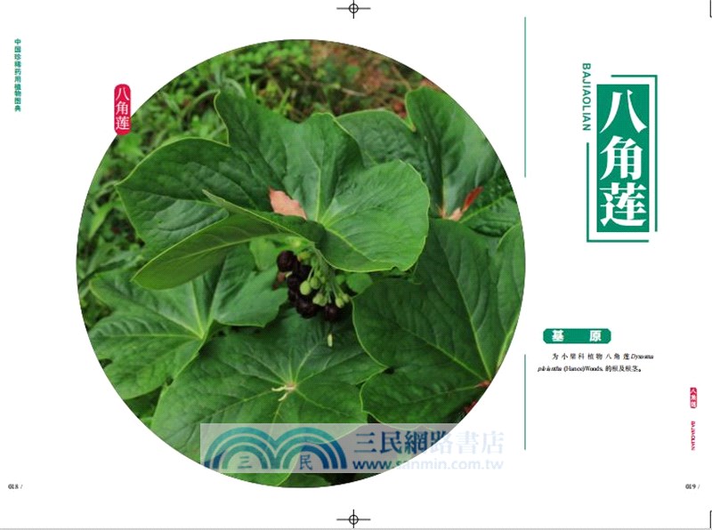 中國珍稀藥用植物圖典(全3冊)（簡體書）