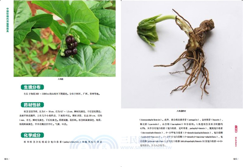 中國珍稀藥用植物圖典(全3冊)（簡體書）