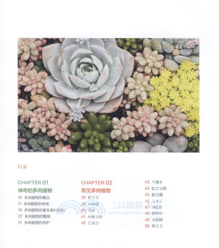 多肉植物這樣養（簡體書）