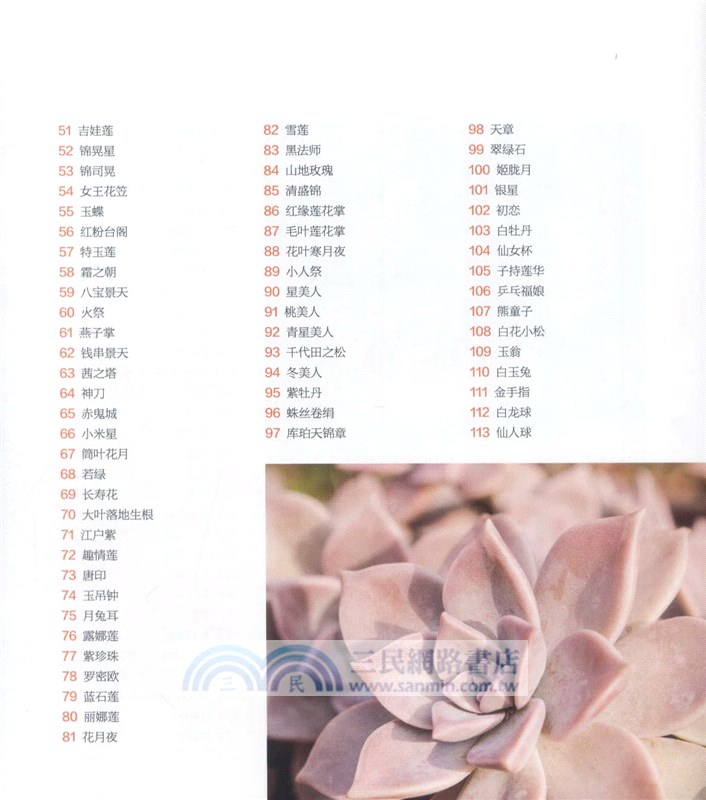 多肉植物這樣養（簡體書）
