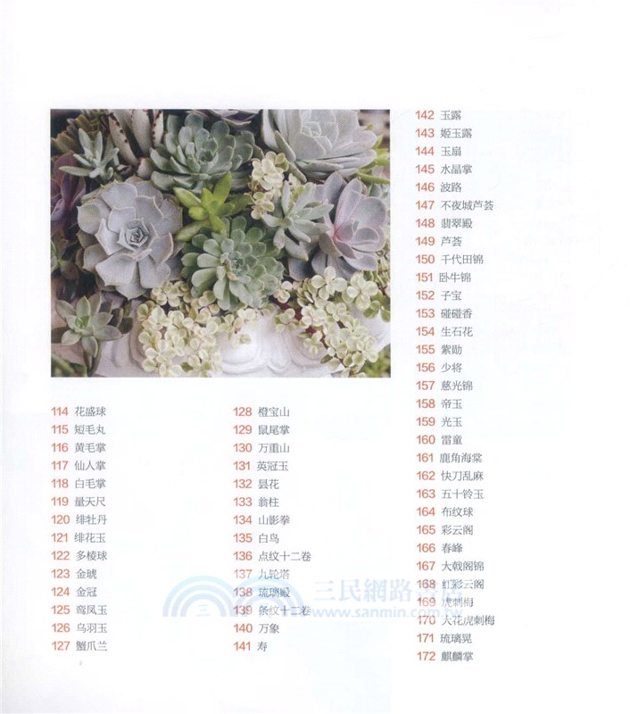 多肉植物這樣養（簡體書）