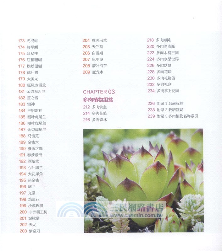 多肉植物這樣養（簡體書）