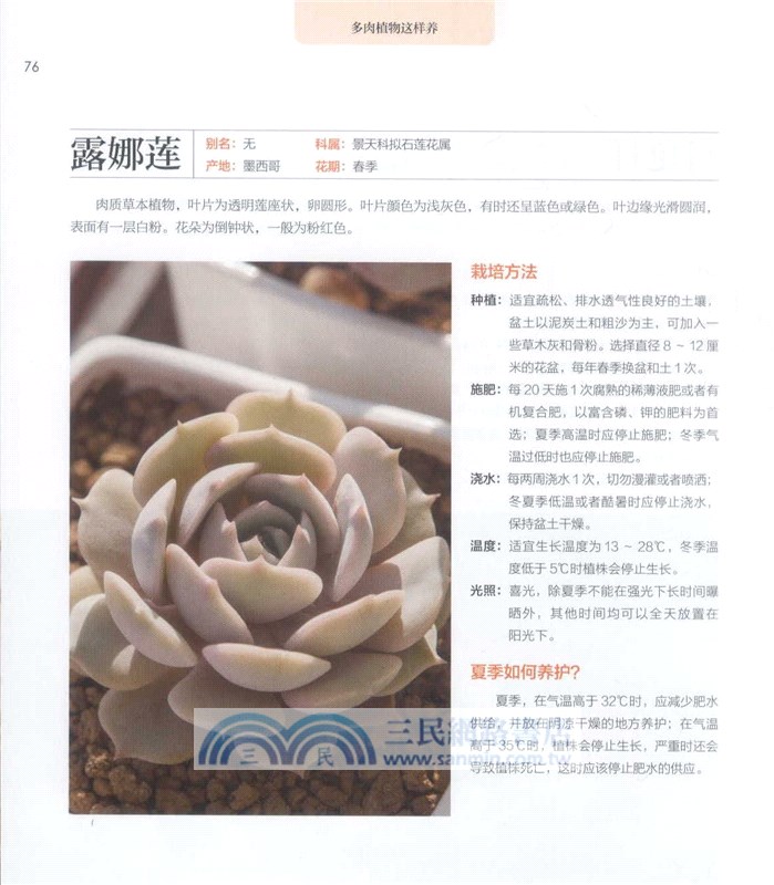 多肉植物這樣養（簡體書）