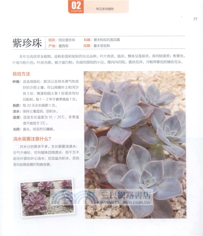 多肉植物這樣養（簡體書）
