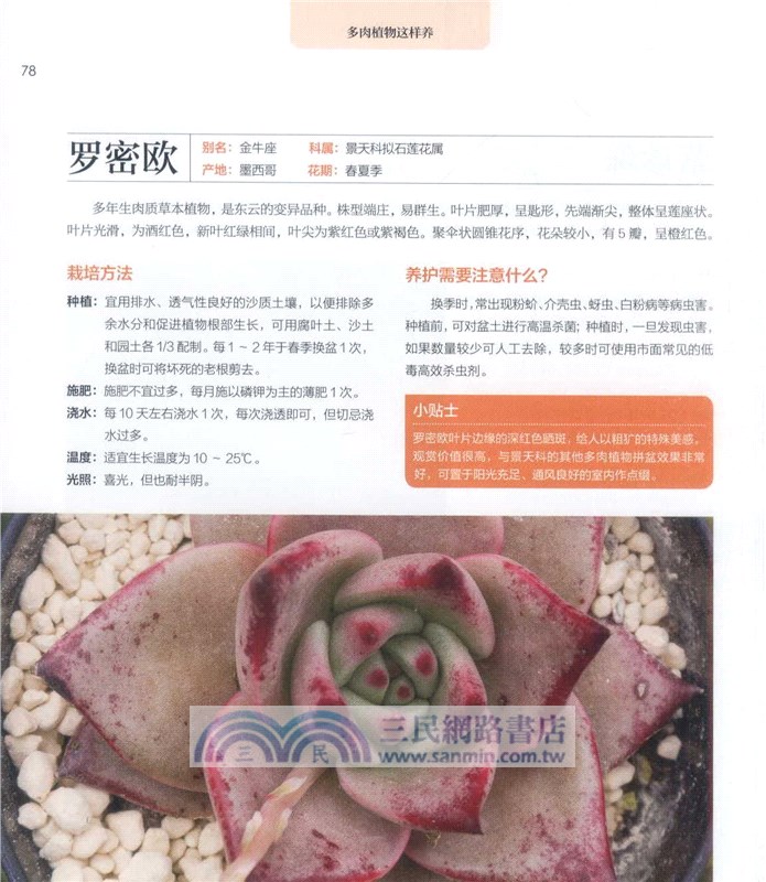 多肉植物這樣養（簡體書）