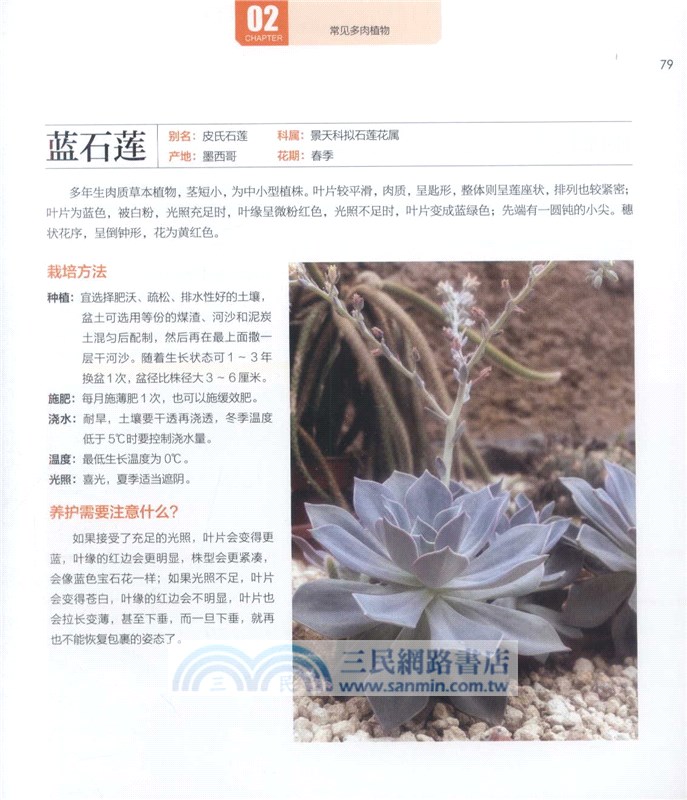 多肉植物這樣養（簡體書）